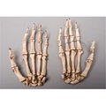 Skeletons And More Skeletons and More SM376DLA Aged Left Skeleton Hand SM376DLA
